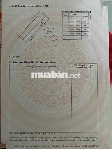 Đất thổ cư mặt tiền đường Tập Đoàn 2, Tân Kim Cần Giuộc