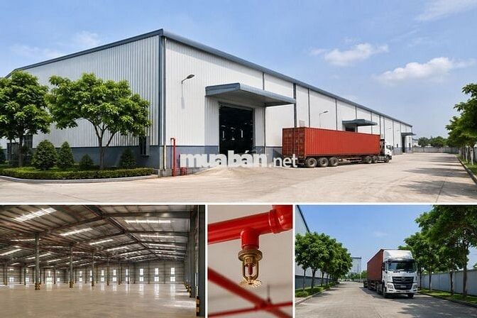 CHO THUÊ KHO,  XƯỞNG 2.500M² TẠI HÒA CẦM – PCCC TỰ ĐỘNG – CHỈ 60K/M²