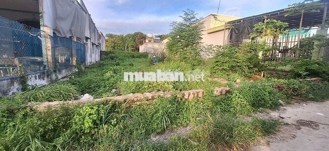 🔥CHỦ CẦN BÁN GẤP! 💥ĐẤT NỀN XÃ LONG HẢI CHỈ 1,3 TỶ ( CÓ THƯƠNG LƯỢNG )