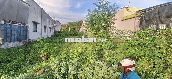 🔥CHỦ CẦN BÁN GẤP! 💥ĐẤT NỀN XÃ LONG HẢI CHỈ 1,3 TỶ ( CÓ THƯƠNG LƯỢNG )