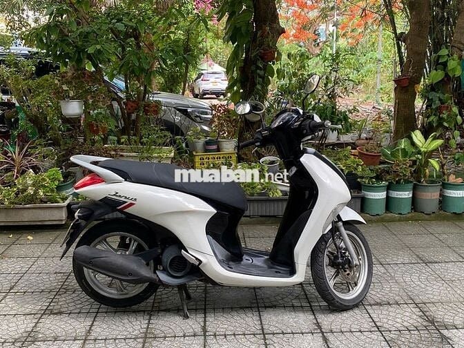 Yamaha Janus Trắng đã qua sử dụng