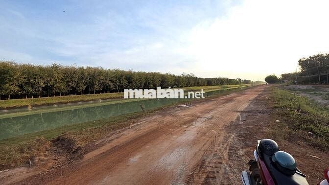 Đất vườn chỉ 650 triệu diện tích 1138.4m2 tại Phước Minh - Lộc Ninh