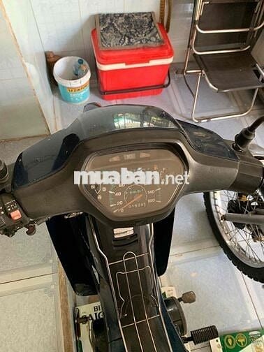alpha lốc đen zin mộc