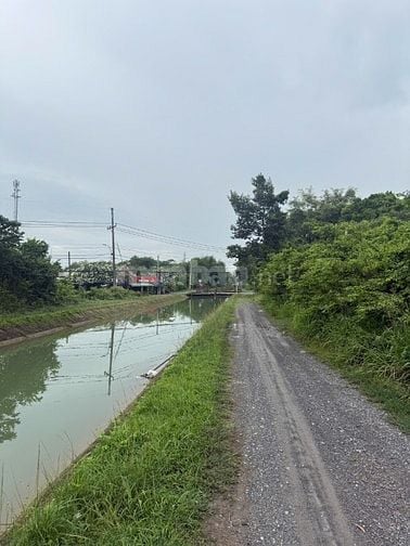 BÁN ĐẤT XÃ NHUẬN ĐỨC-DT 8812M CÓ 300M THỔ CƯ