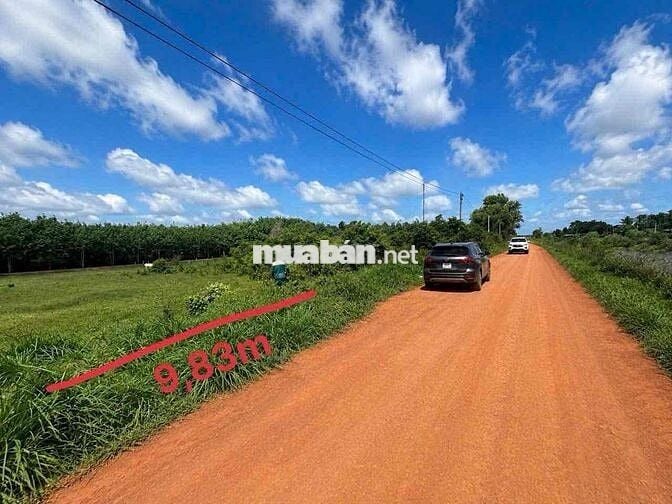 Chính chủ cần bán gấp lô đất 789m2 (16x50) vuông vức giá tốt.