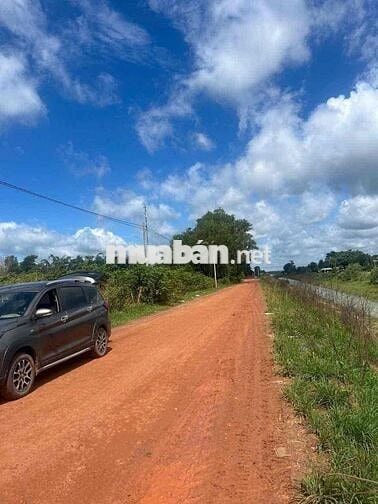 Chính chủ cần bán gấp lô đất 789m2 (16x50) vuông vức giá tốt.