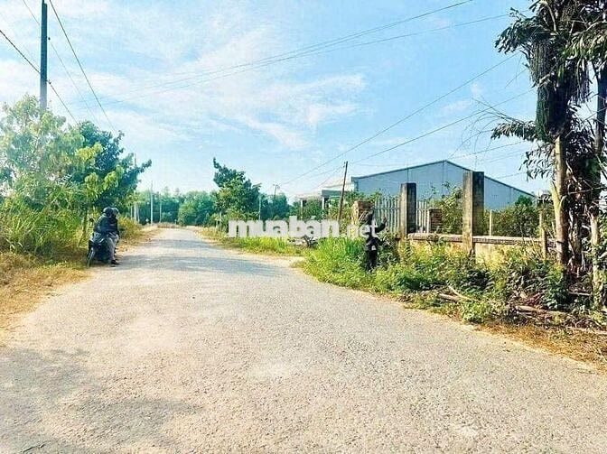  Đất Full thổ đ.nhựa tại Phước Thạnh, sát KCN HIỆP THẠNH chỉ 450 Triệu