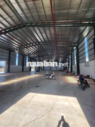 ✅✅ CHO THUÊ KHO XƯỞNG MỚI TẠI ĐÀ NẴNG – PCCC TỰ ĐỘNG – GIÁ CHỈ 55K/M²