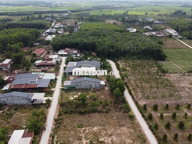  Đất Full thổ đ.nhựa tại Phước Thạnh, sát KCN HIỆP THẠNH chỉ 450 Triệu
