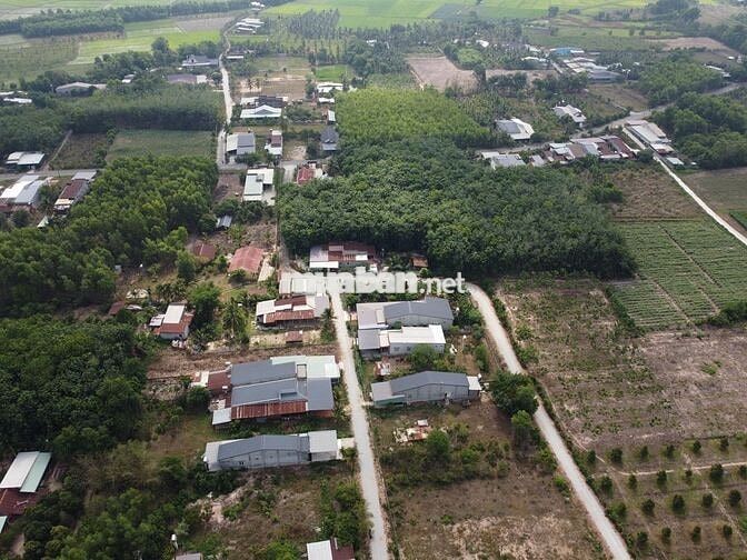  Đất Full thổ đ.nhựa tại Phước Thạnh, sát KCN HIỆP THẠNH chỉ 450 Triệu