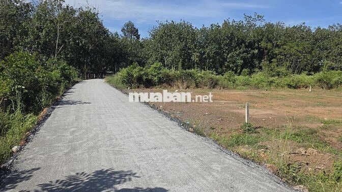  Đất Full thổ đ.nhựa tại Phước Thạnh, sát KCN HIỆP THẠNH chỉ 450 Triệu