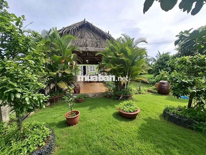 BÁN NHÀ VƯỜN CHÍNH CHỦ – CHỢ GẠO, TIỀN GIANG