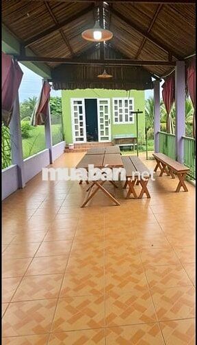 BÁN NHÀ VƯỜN CHÍNH CHỦ – CHỢ GẠO, TIỀN GIANG