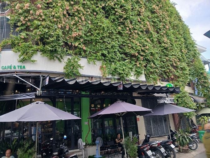 Chính chủ cần sang quán cafe góc 2 mặt tiền Phường 4, Quận 8
