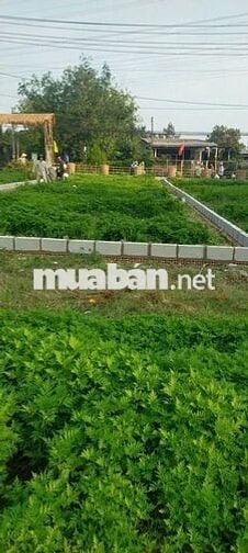 Đất nền lô gốc Nguyễn Thị Rành