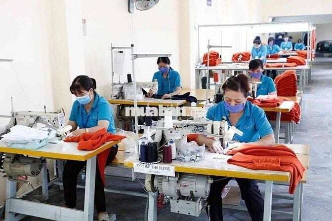 Công nhân may thời vụ - Lương tuần