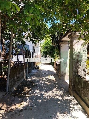 Phòng trọ giá rẻ gần đại học Luật, Kinh Tế -  yên tĩnh, thoáng mát