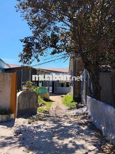 Phòng trọ giá rẻ gần đại học Luật, Kinh Tế -  yên tĩnh, thoáng mát