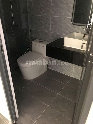 Bán nhà đường Tân Hóa gần Tân Hòa Đông, hẻm xe hơi, phường 14, Quận 6 