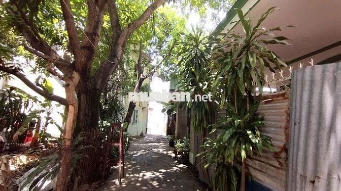 CHO THUÊ NHÀ NHỎ TRỆT LẦU CẠNH VẠN PHÚC