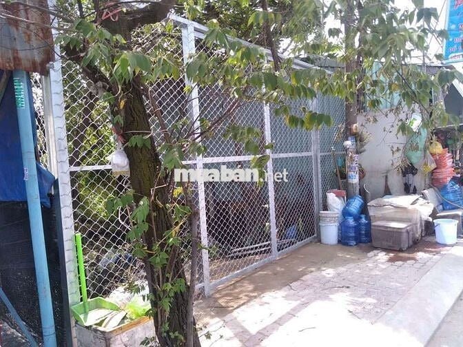 bán đất Mt Đường Đoàn Nguyễn Tuấn xã Hưng Long TP HCM