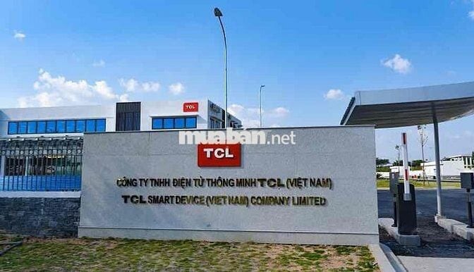 LÀM HÈ CTY ĐIỆN TỬ TCL TUYỂN THỜI VỤ