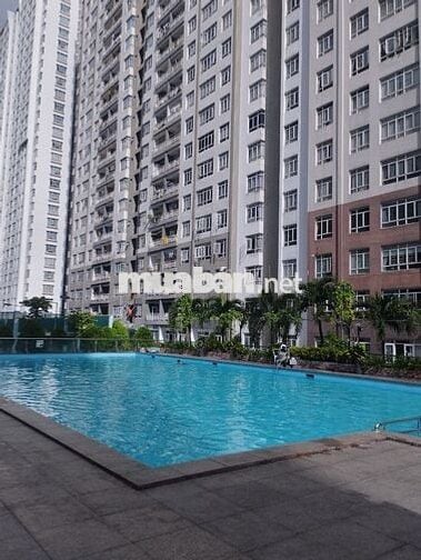 Đại học Kinh Tế HCM UEH Chung cư Nguyễn Tri Phương Sinh viên Văn phòng