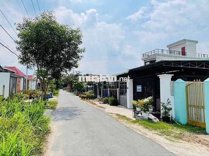 Ngộp lô đất đối diện Bò Tơ Hồng Đào Xã Tân Thông Hội, Củ Chi