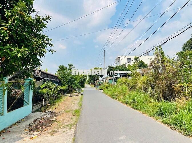 Ngộp lô đất đối diện Bò Tơ Hồng Đào Xã Tân Thông Hội, Củ Chi