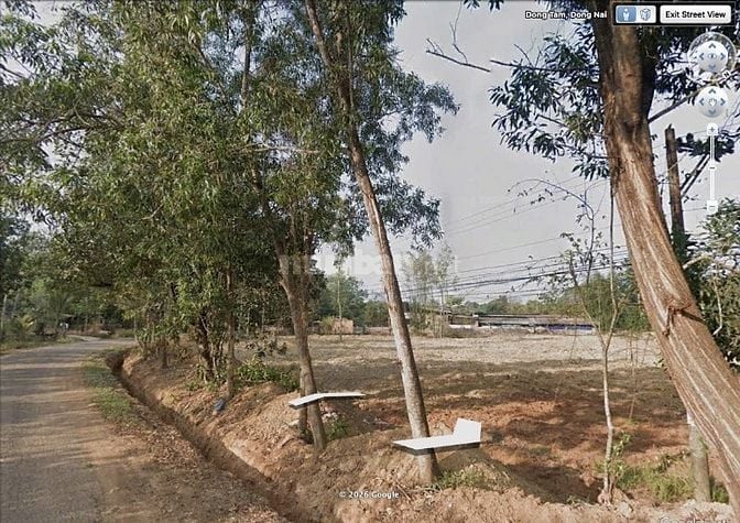 Chính chủ bán đất 250m², 100m2 TC,đường nhựa, tặng HS phong thuỷ nhà ở