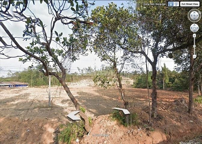 Chính chủ bán đất 250m², 100m2 TC,đường nhựa, tặng HS phong thuỷ nhà ở