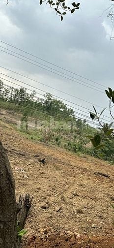 Chính chủ bán đất 250m², 100m2 TC,đường nhựa, tặng HS phong thuỷ nhà ở