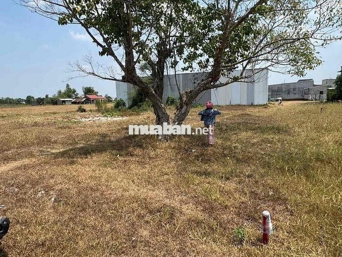 Chính chủ cần bán lô đất 141m đường xe hơi tới chổ thuộc hoà khánh đôg