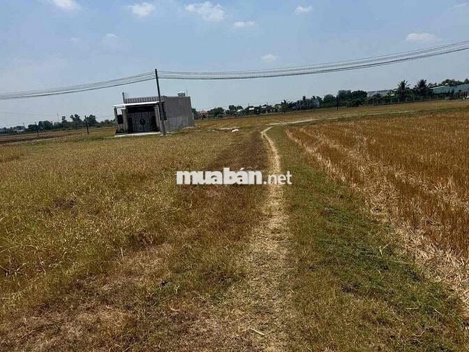 Chính chủ cần bán lô đất 141m đường xe hơi tới chổ thuộc hoà khánh đôg
