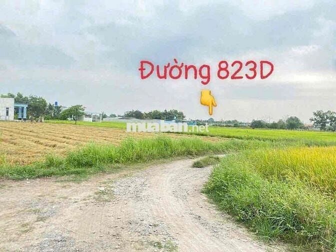 chủ gửi bán lô đất 105m cách đường 823D chỉ 200m đường thông HKĐ