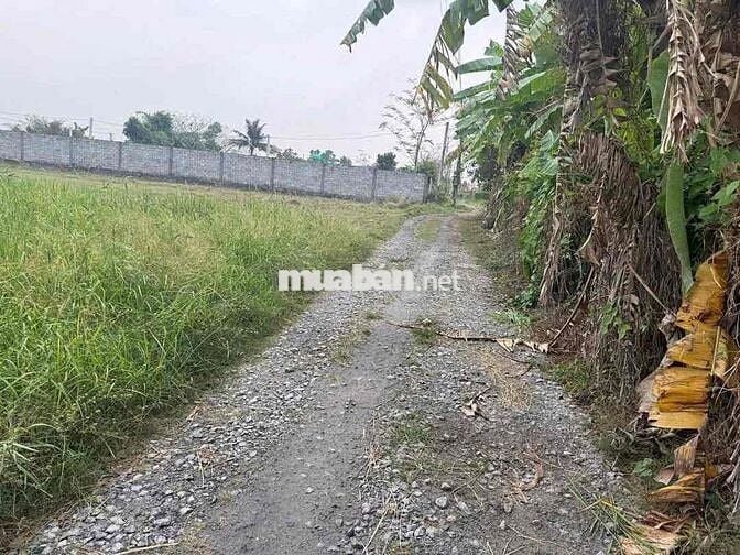 chủ gửi bán lô đất 105m cách đường 823D chỉ 200m đường thông HKĐ