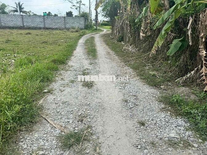 chủ gửi bán lô đất 105m cách đường 823D chỉ 200m đường thông HKĐ