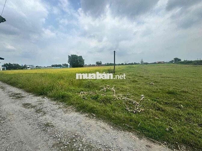 chủ gửi bán lô đất 105m cách đường 823D chỉ 200m đường thông HKĐ