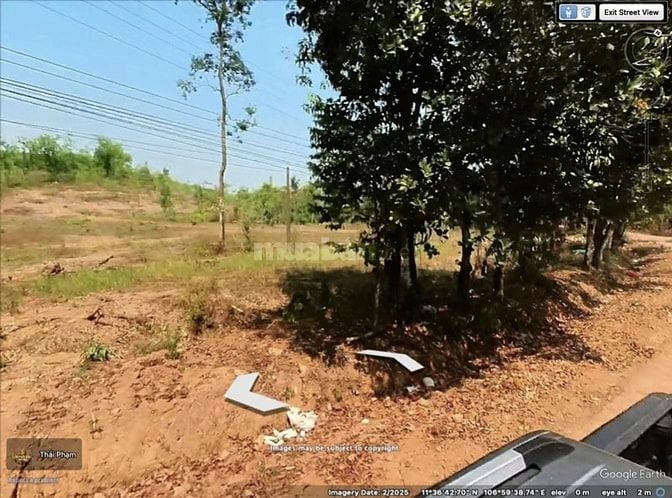 Chính chủ bán đất 250m², 100m2 TC,đường nhựa, tặng HS phong thuỷ nhà ở