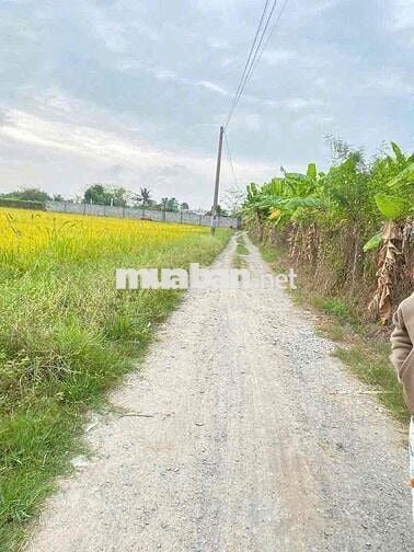 chủ gửi bán lô đất 105m cách đường 823D chỉ 200m đường thông HKĐ