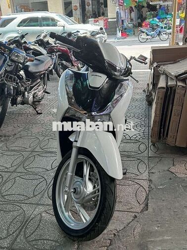 Honda SH 2025 Trắng Đen