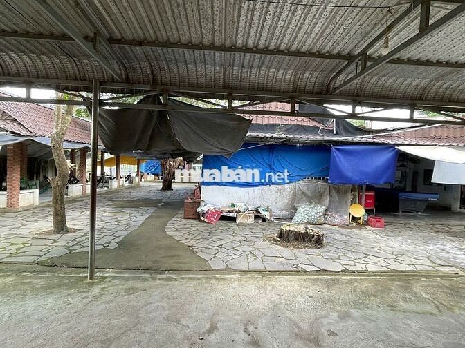 Chính chủ bán quán nhà riêng lô góc 2 MT + karaoke + cà phê sân vườn
