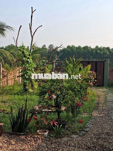 Chính chủ cần bán nhà vườn 330m2