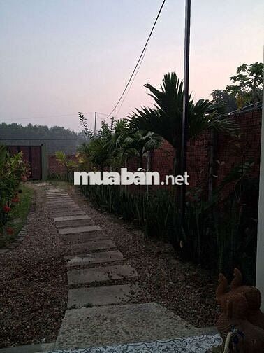 Chính chủ cần bán nhà vườn 330m2