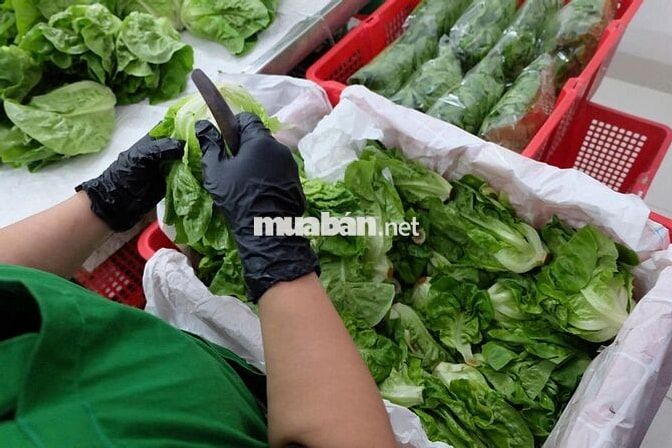 TUYỂN TÀI XẾ GIAO HÀNG XE MÁY