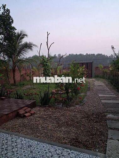 Chính chủ cần bán nhà vườn 330m2