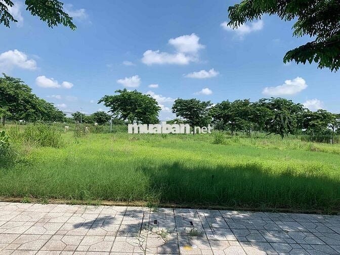 Đất Nền Luền Kề Vinhomes Hóc Môn Giá 1,350 tỷ,SHR, Công Chứng Ngay