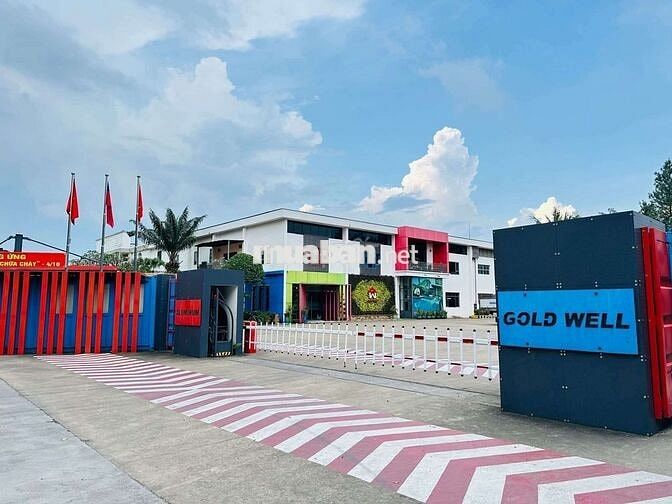 cần gấp 100 lao động nam