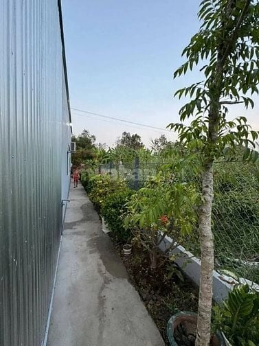 Nhà Vườn gần THPT Bình Chánh thuộc Tp.HCM - Giá 850tr SHR bao check