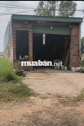 Chính Chủ Cần Bán Gấp Đất Mặt Tiền Giồng Lớn, Mỹ Hạnh Nam, Long An